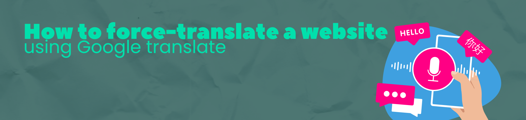 Translate website (EN).png